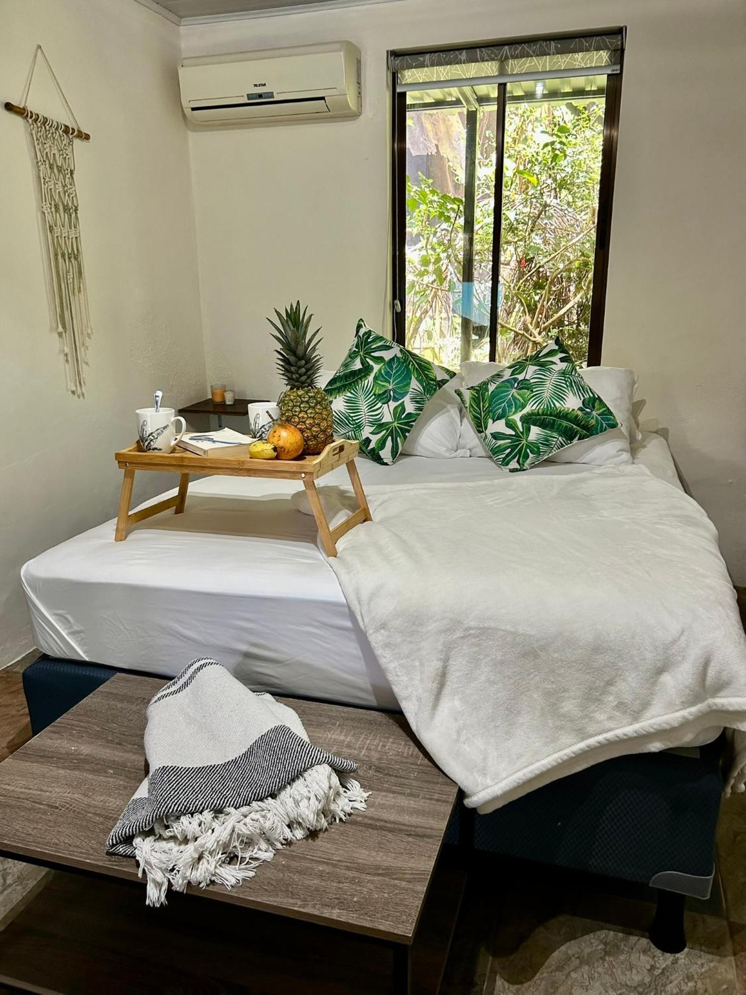 Boutique Rooms River Front At La Junta ドミニカル エクステリア 写真